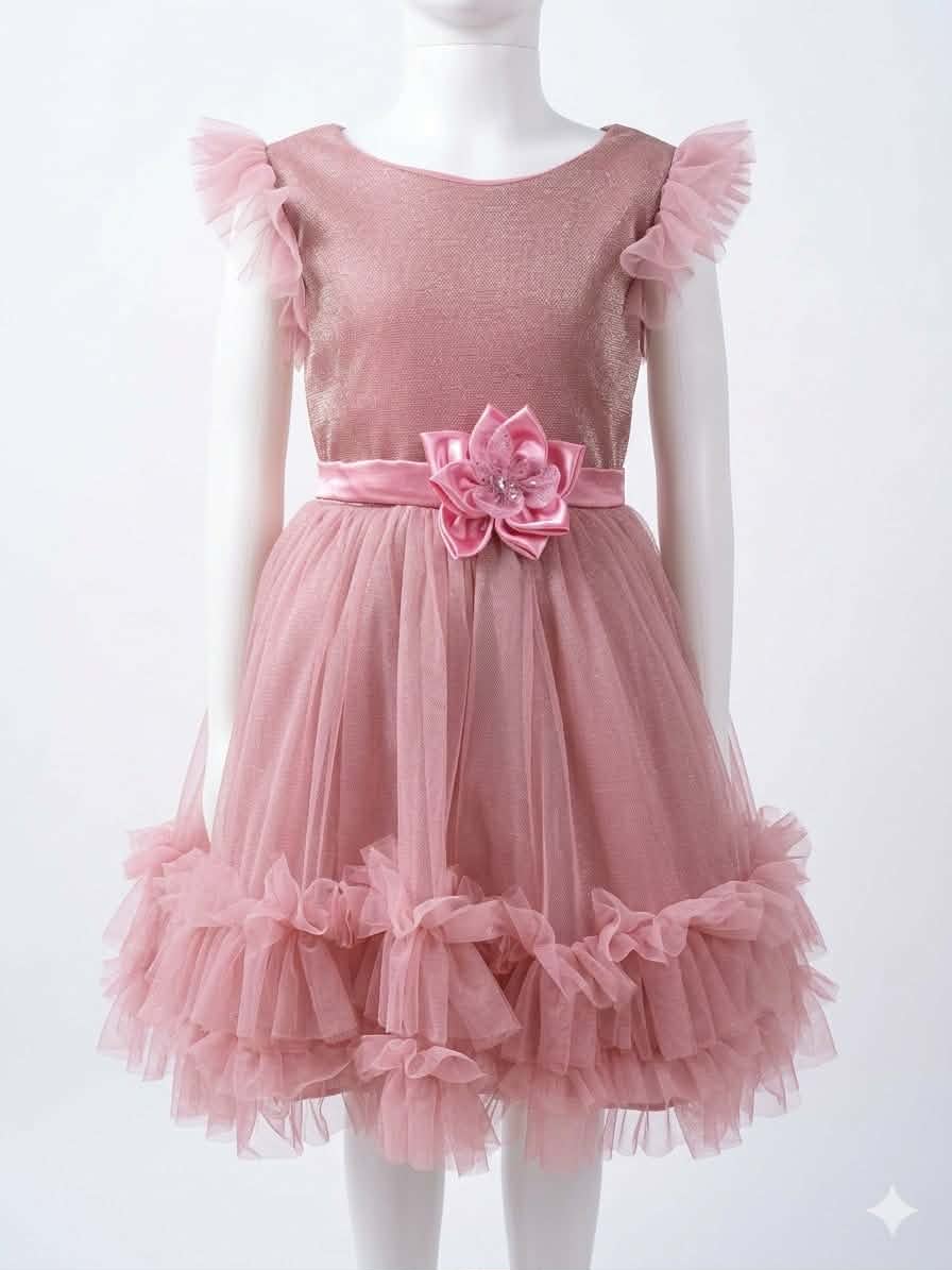 Little Princess Pink Gown